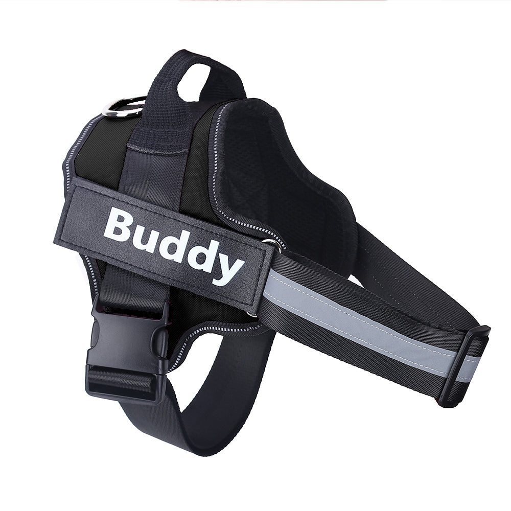 Easy-Fit Custom Dog Harness for Everyday Comfort