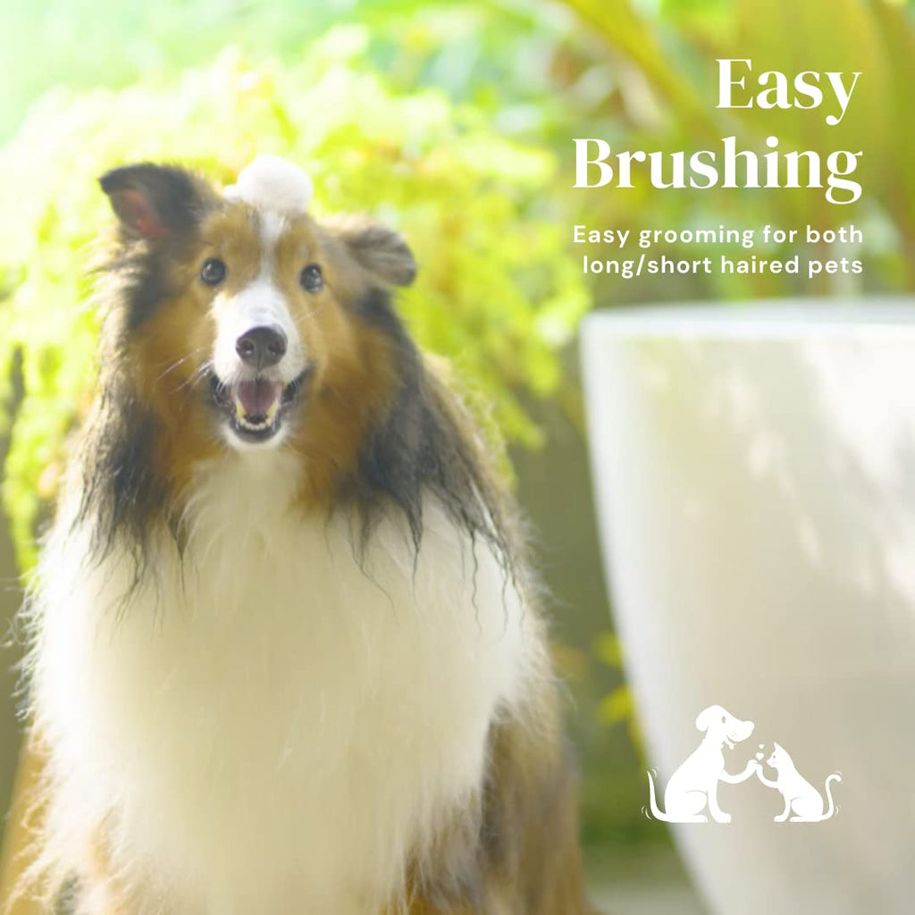 Gentle Self-Cleaning Slicker Brush for Pets