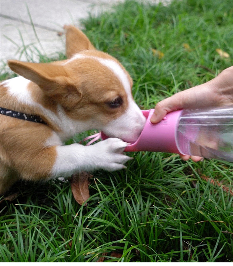 Portable Dog Water Bottle with Built-In Bowl
