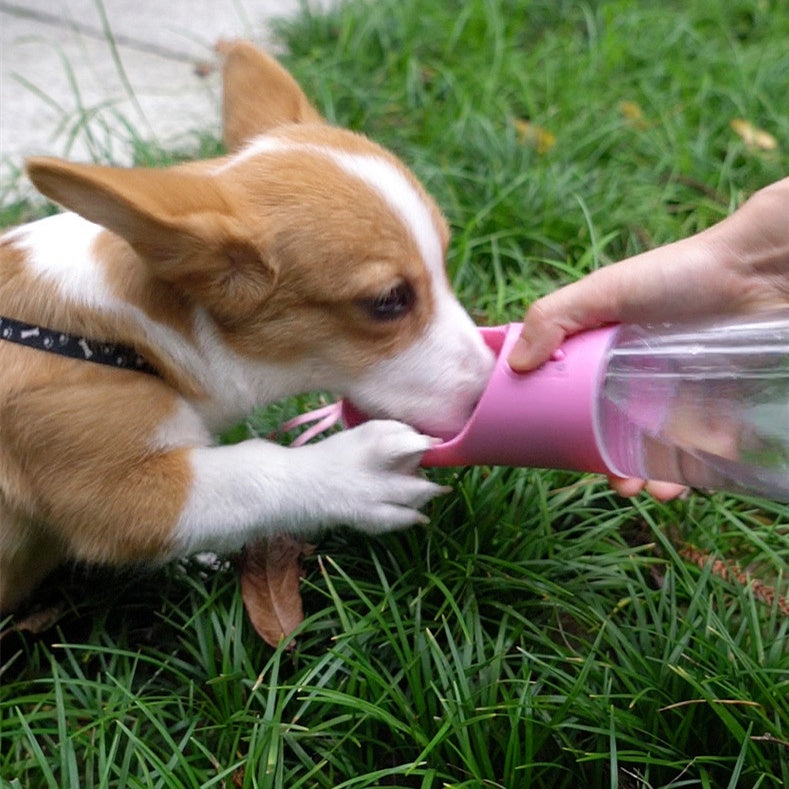 Portable Dog Water Bottle with Built-In Bowl