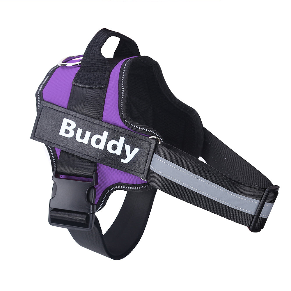 Easy-Fit Custom Dog Harness for Everyday Comfort