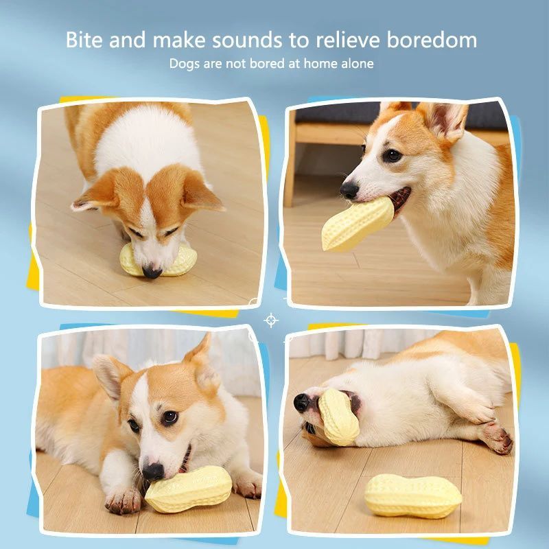 Puppy Dental Chew Toys with Squeaks and Bounce