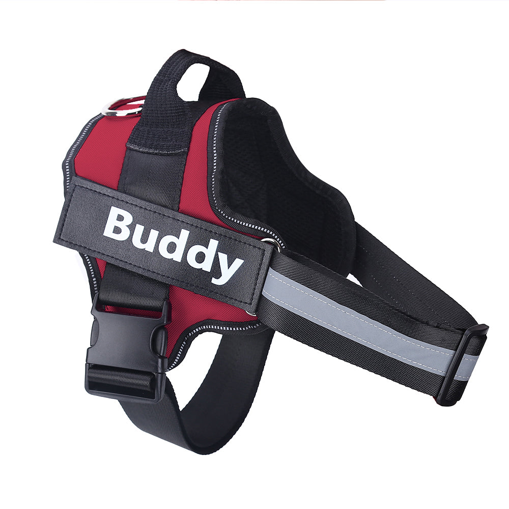 Easy-Fit Custom Dog Harness for Everyday Comfort