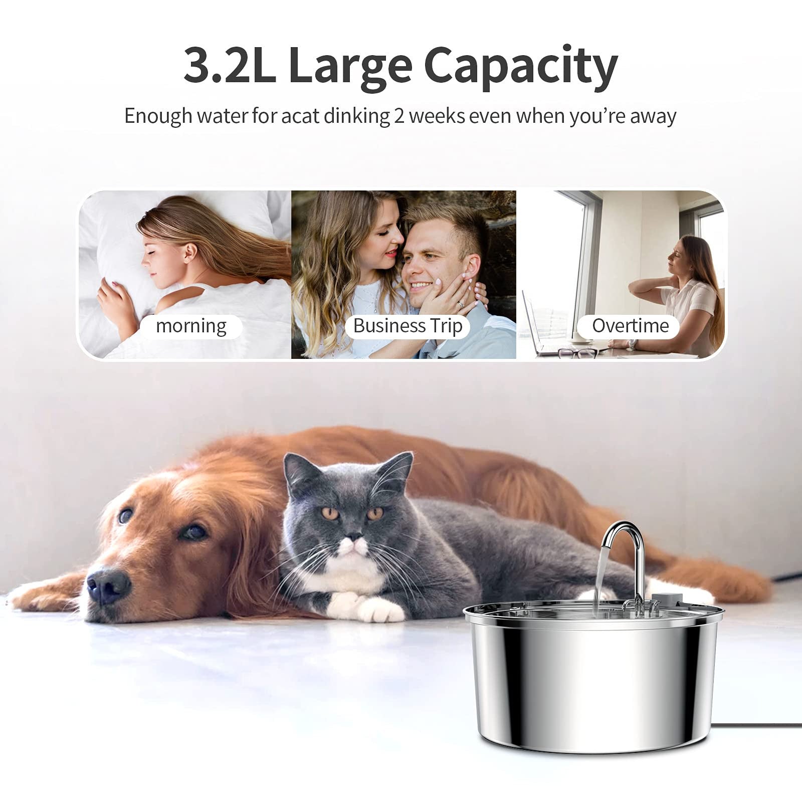 FreshFlow Stainless Pet Fountain for Healthy Daily Hydration