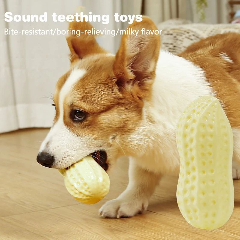 Puppy Dental Chew Toys with Squeaks and Bounce