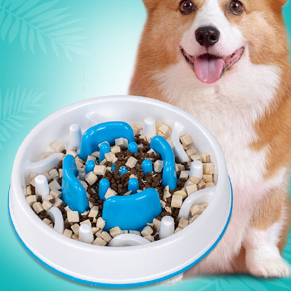 Slow-Feed Dog Bowl to Prevent Choking and Spills
